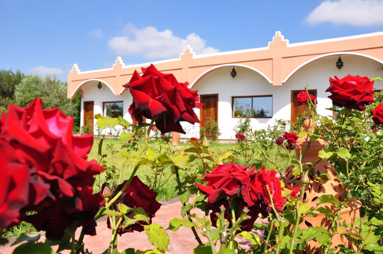 Riad Hamdani Derroua Exterior foto