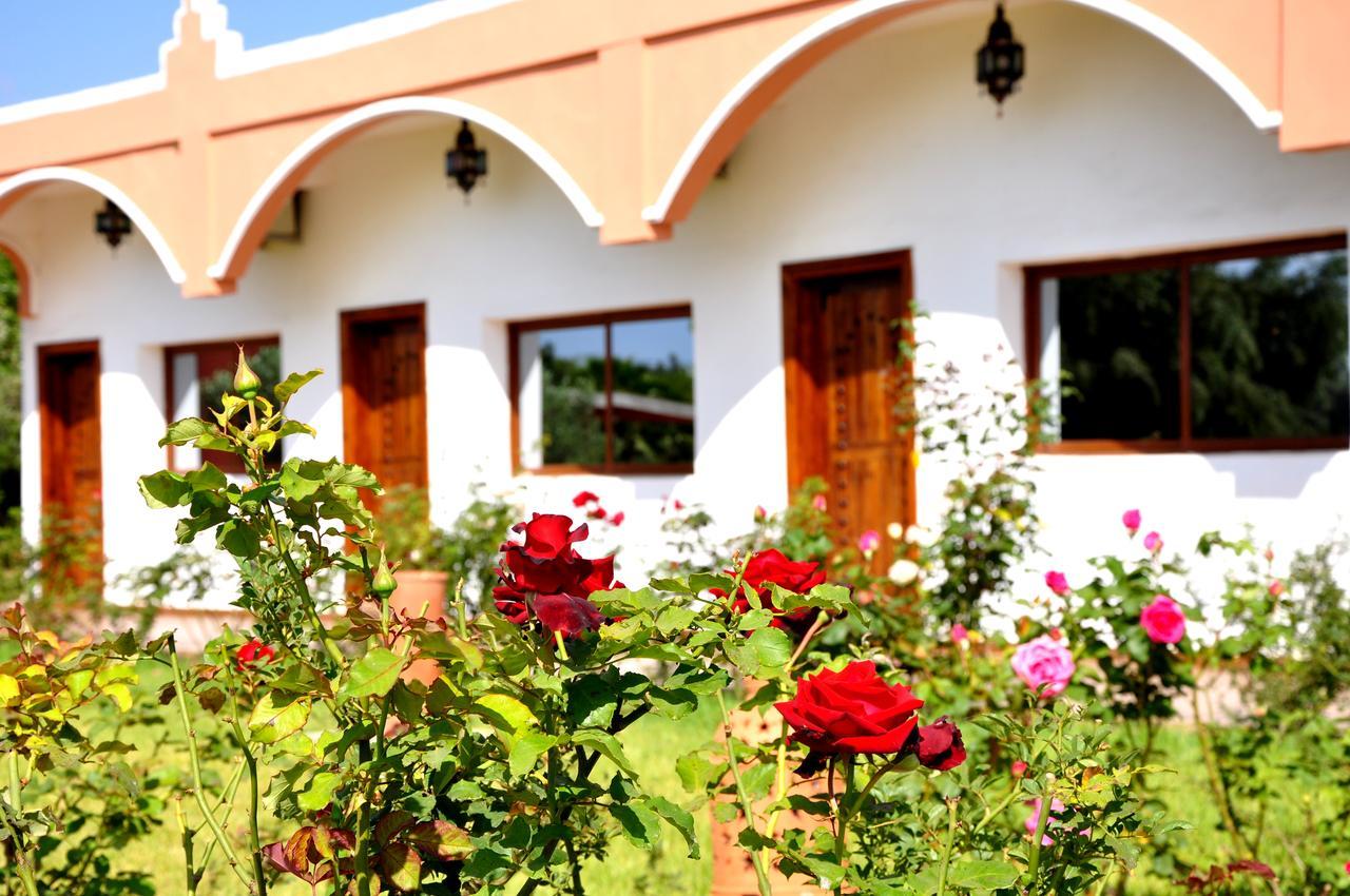 Riad Hamdani Derroua Exterior foto