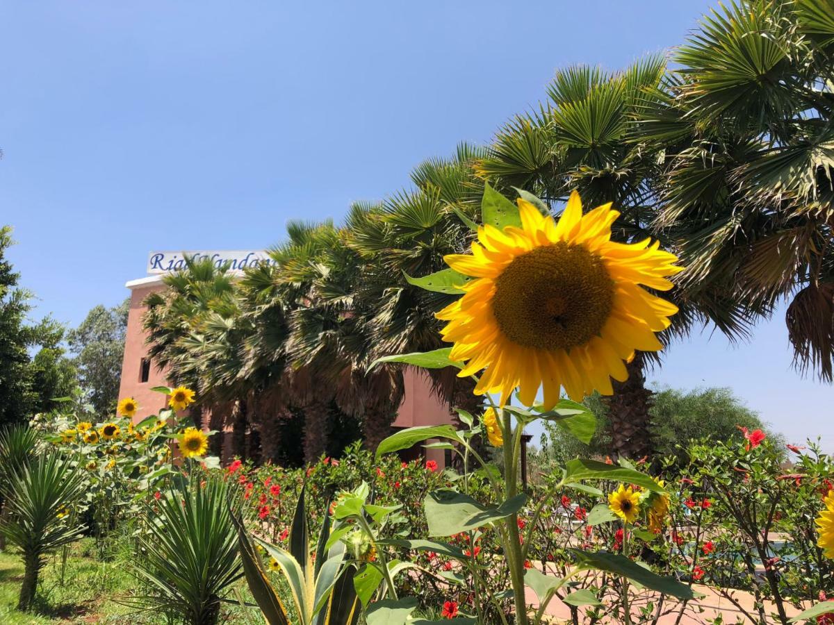 Riad Hamdani Derroua Exterior foto